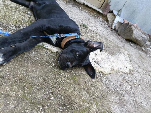 Ulisse Foto 8